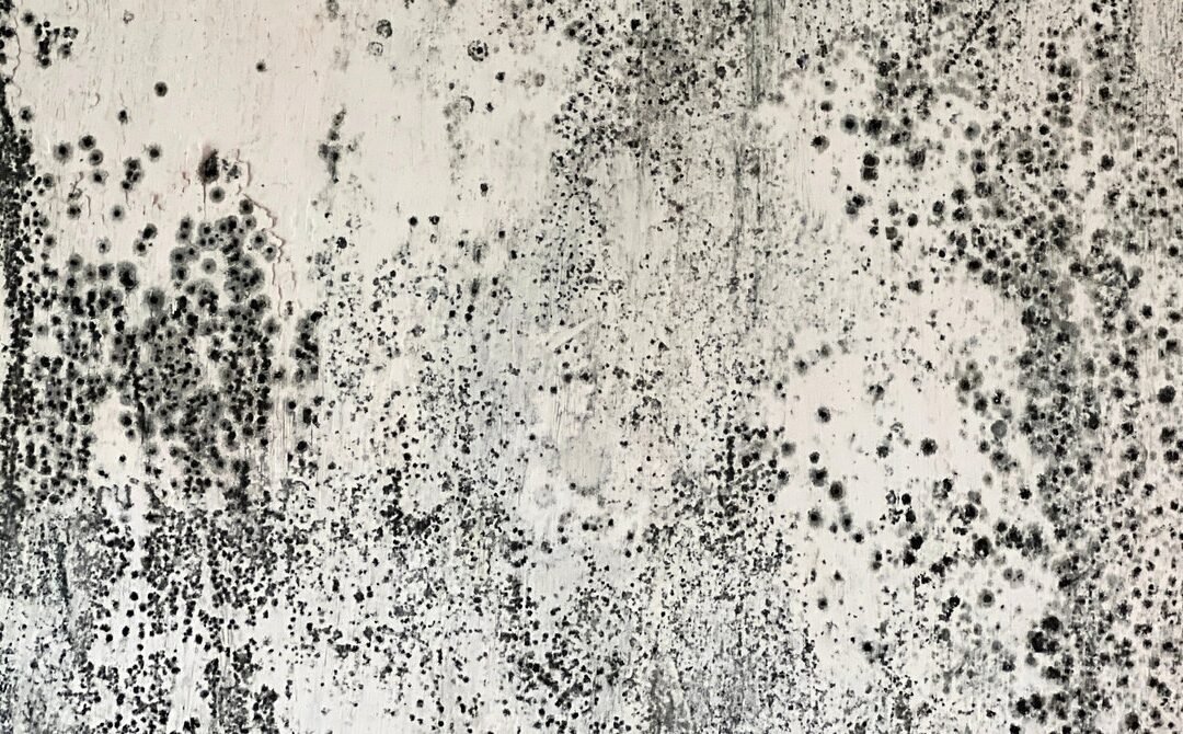 That Weird Smell in Your House Might Be Mold. Here’s How to Check